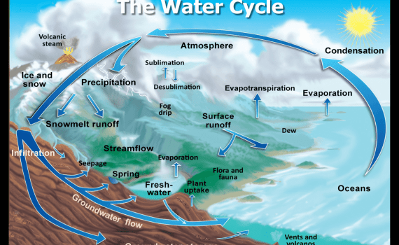 Water Cycle Diagram