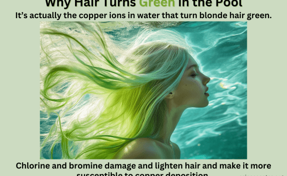 Why Hair Turns Green in the Pool