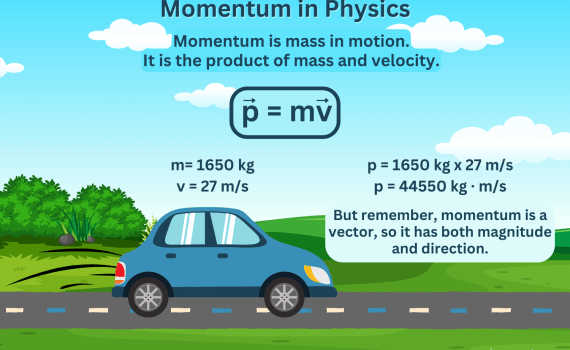 Momentum in Physics