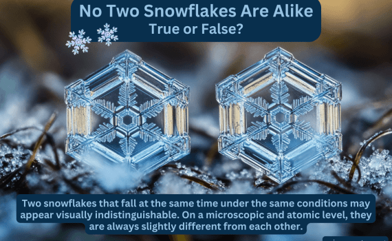 No Two Snowflakes Are Alike