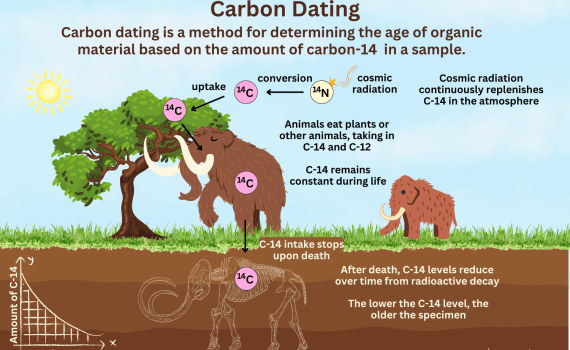 Carbon Dating Definition and Diagram