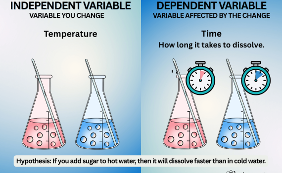 Independent Variable and Dependent Variable
