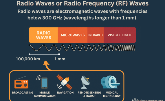 Radio Waves or Radio Frequency (RF) Waves