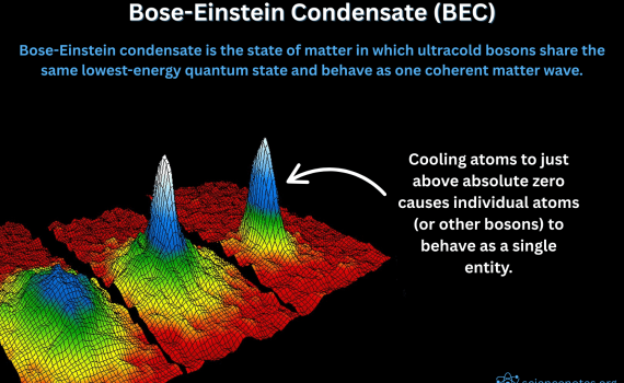 Bose-Einstein Condensate Definition