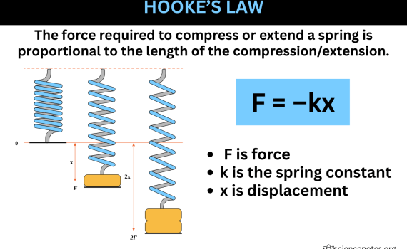 Hooke's Law