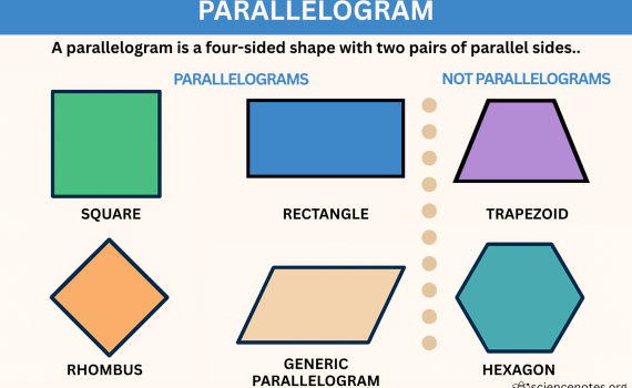 Parallelogram Definition and Examples