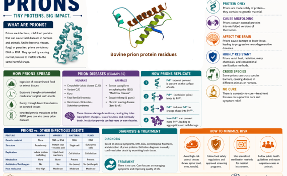 Prion Infographic