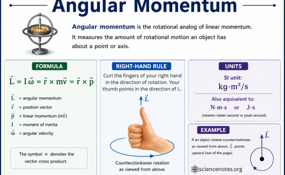 Angular Momentum Definition and Formula