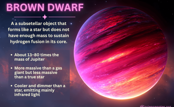 Brown Dwarf